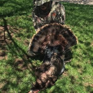 Meet your Posher, Coby